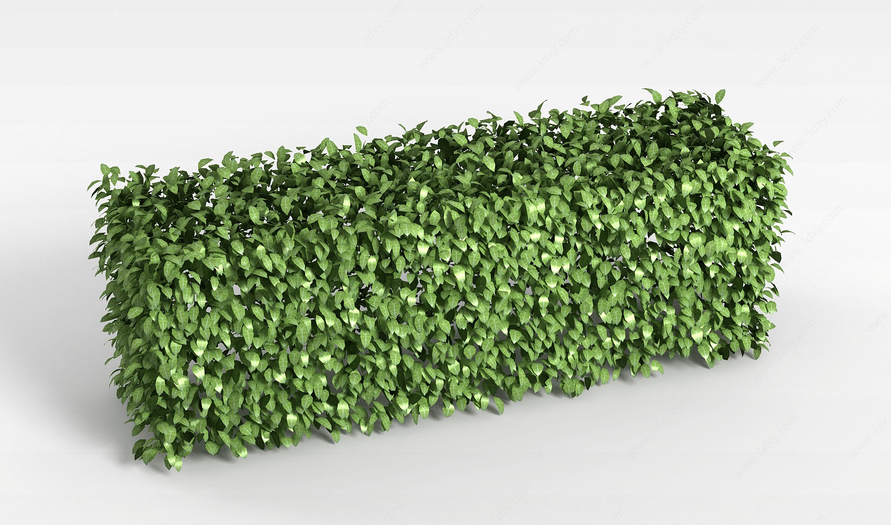 植物墙绿化带3D模型