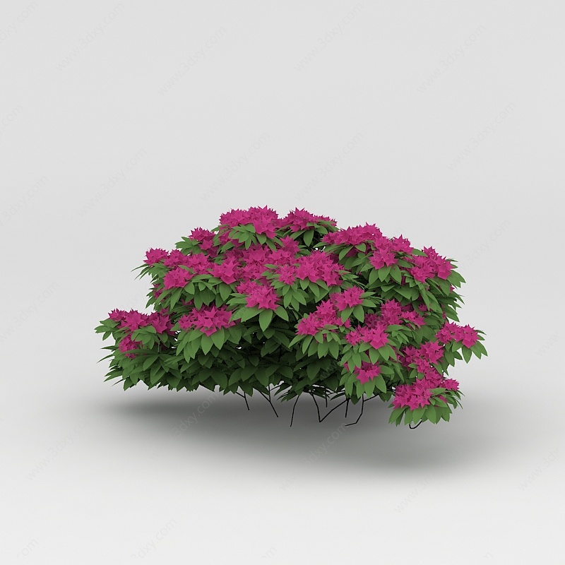 植物景观花草3D模型