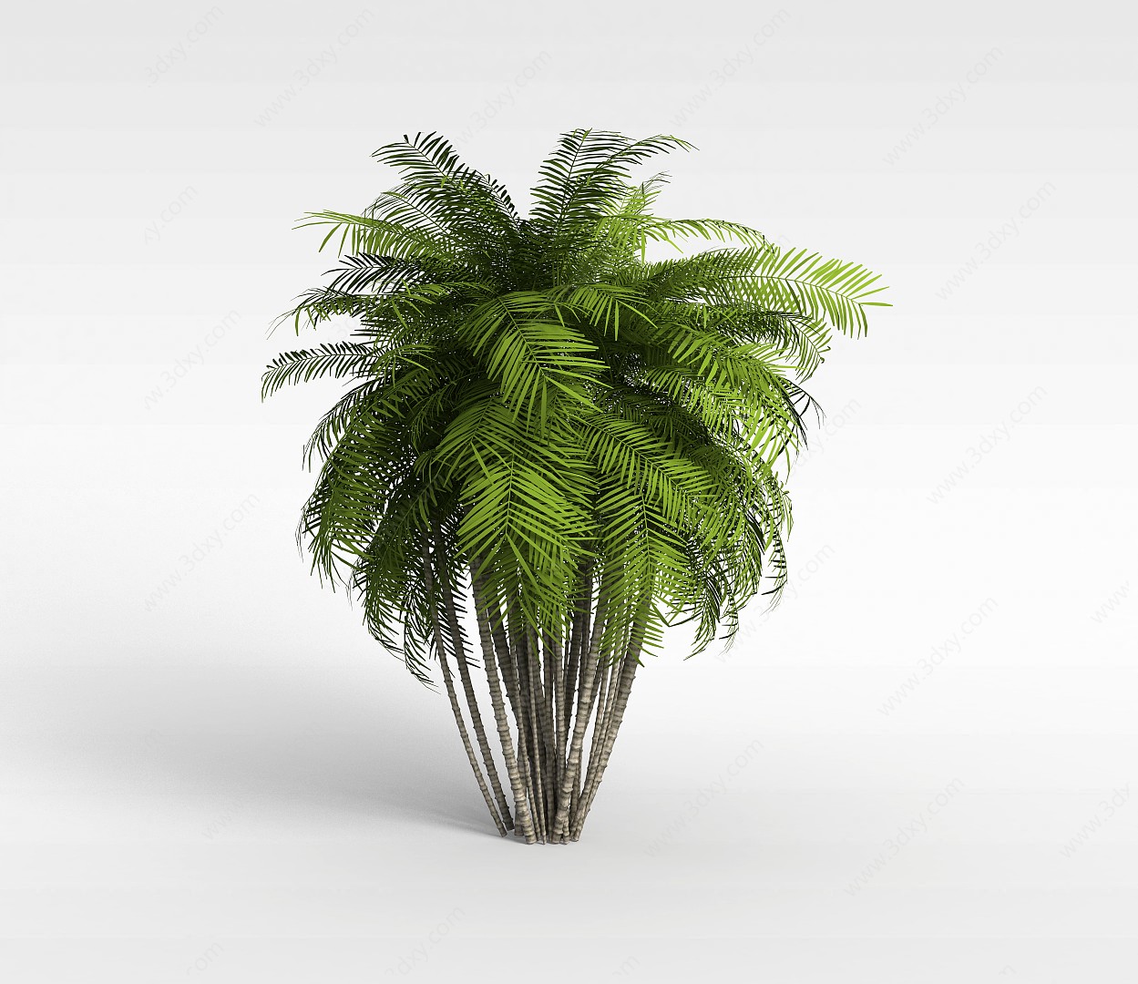 植物椰树3D模型