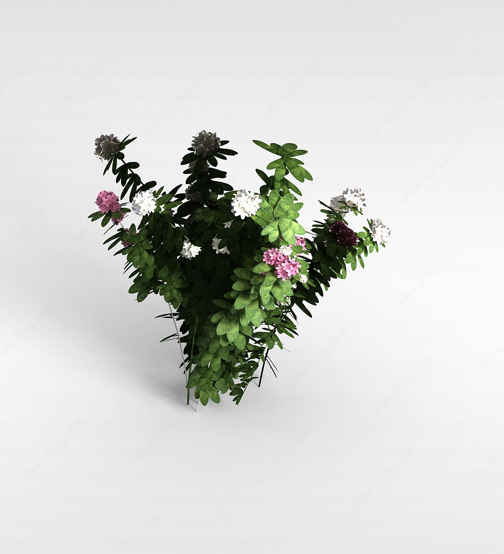 植物花株3D模型