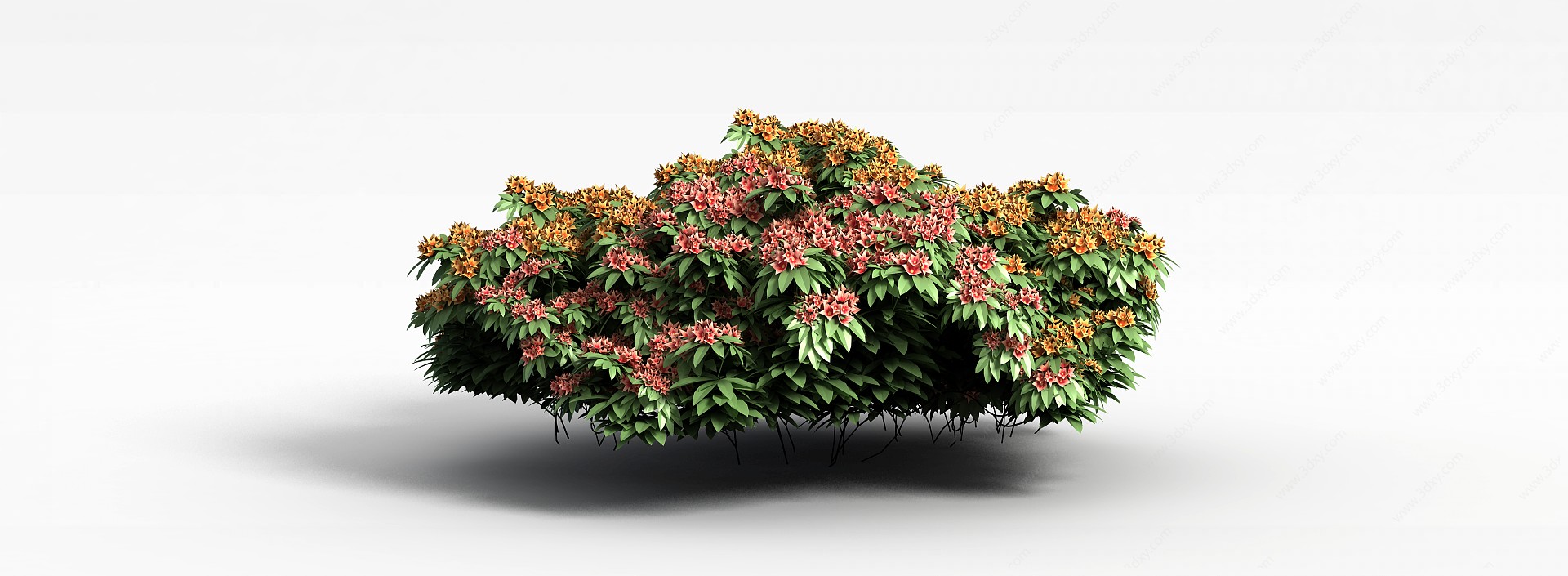 植物花草绿植3D模型