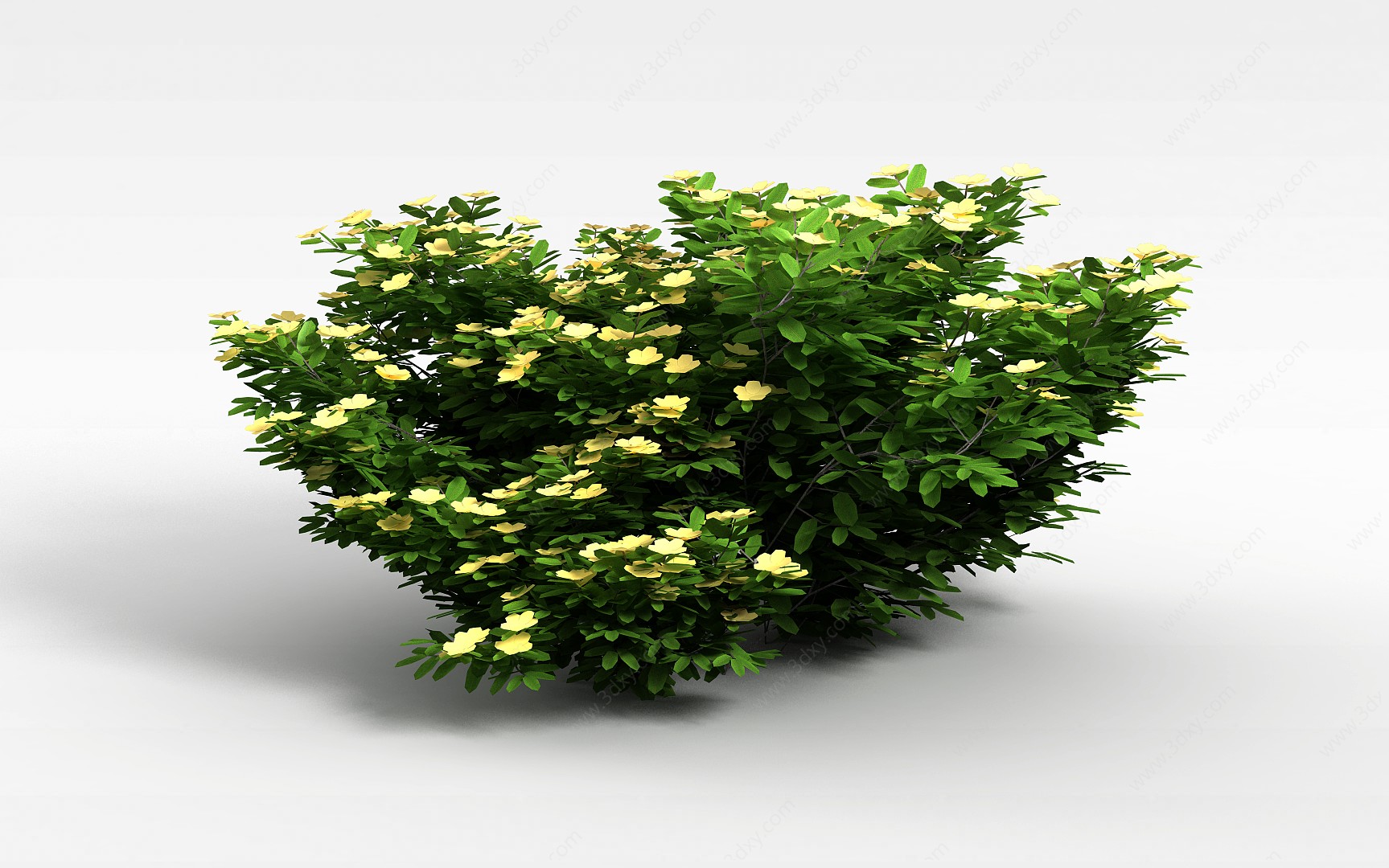 景观植物绿篱3D模型