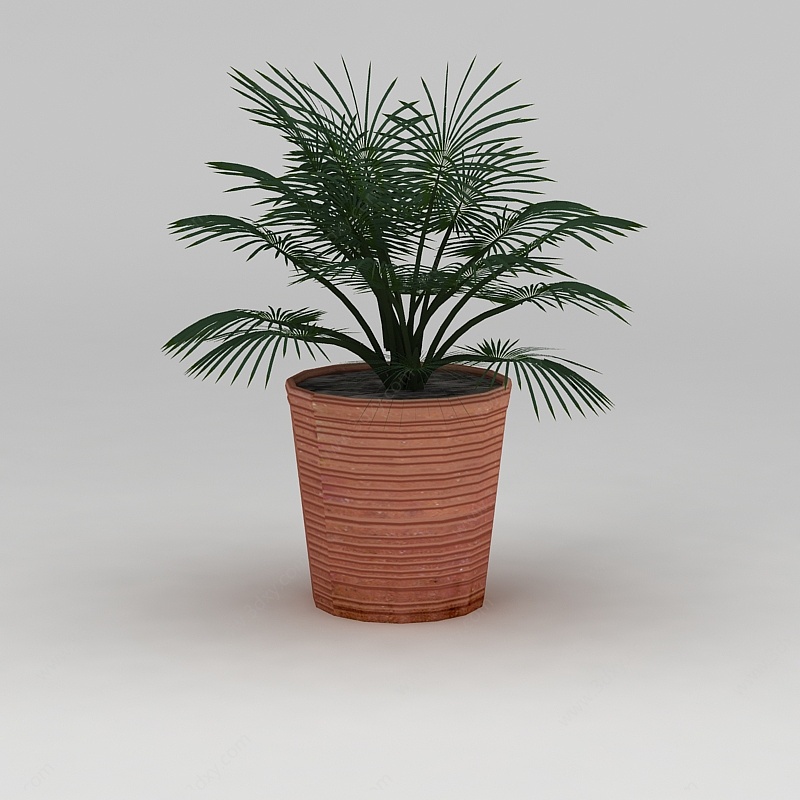 盆栽盆景植物3D模型