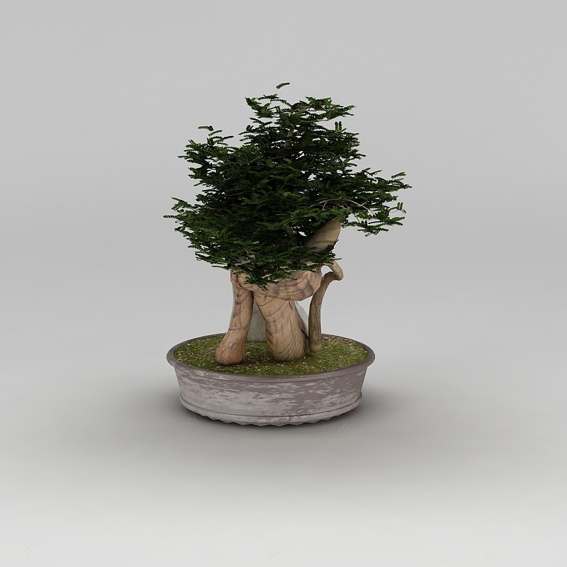 中式盆景盆栽3D模型