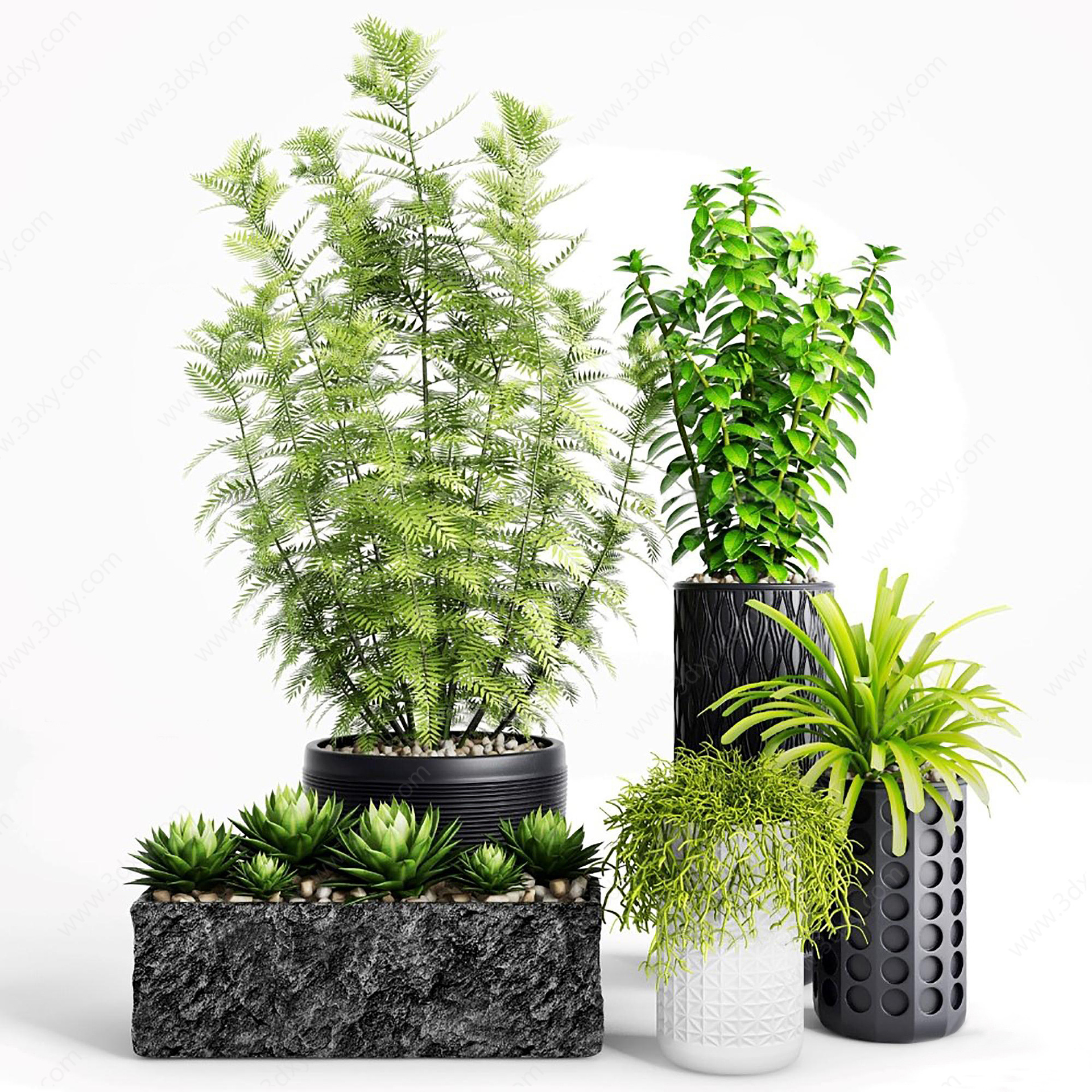 办公室绿植盆栽3D模型