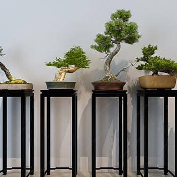 中式树桩盆景盆栽3D模型