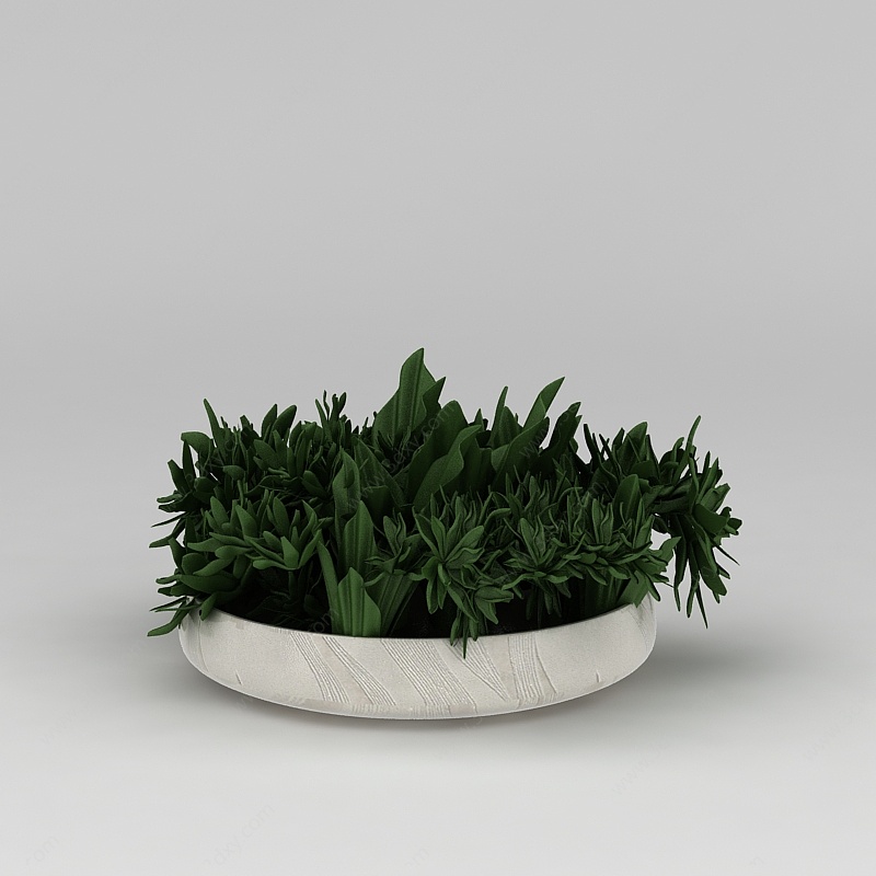 室内绿植盆栽摆件3D模型
