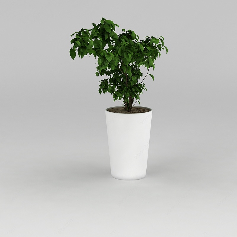 现代办公室绿植盆栽3D模型