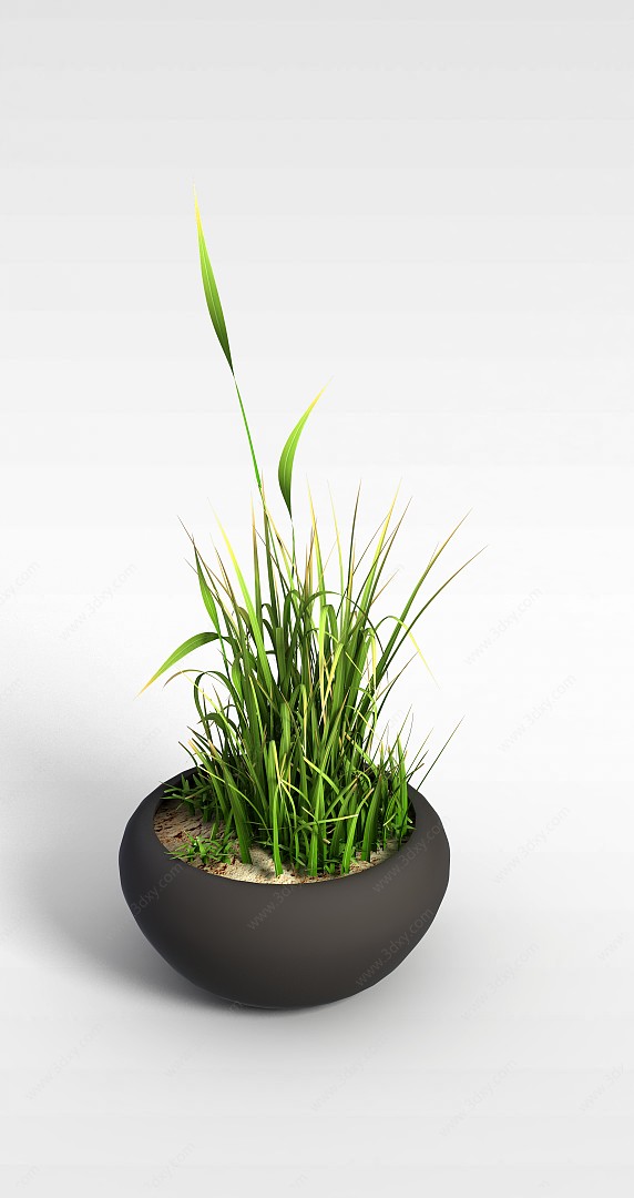 阳台绿植花盆3D模型