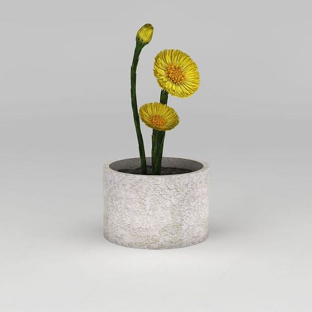 黄色小花盆栽3D模型