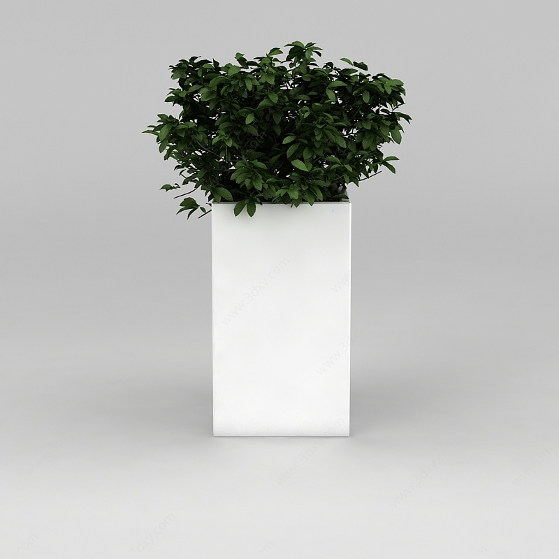 室内花盆绿植3D模型