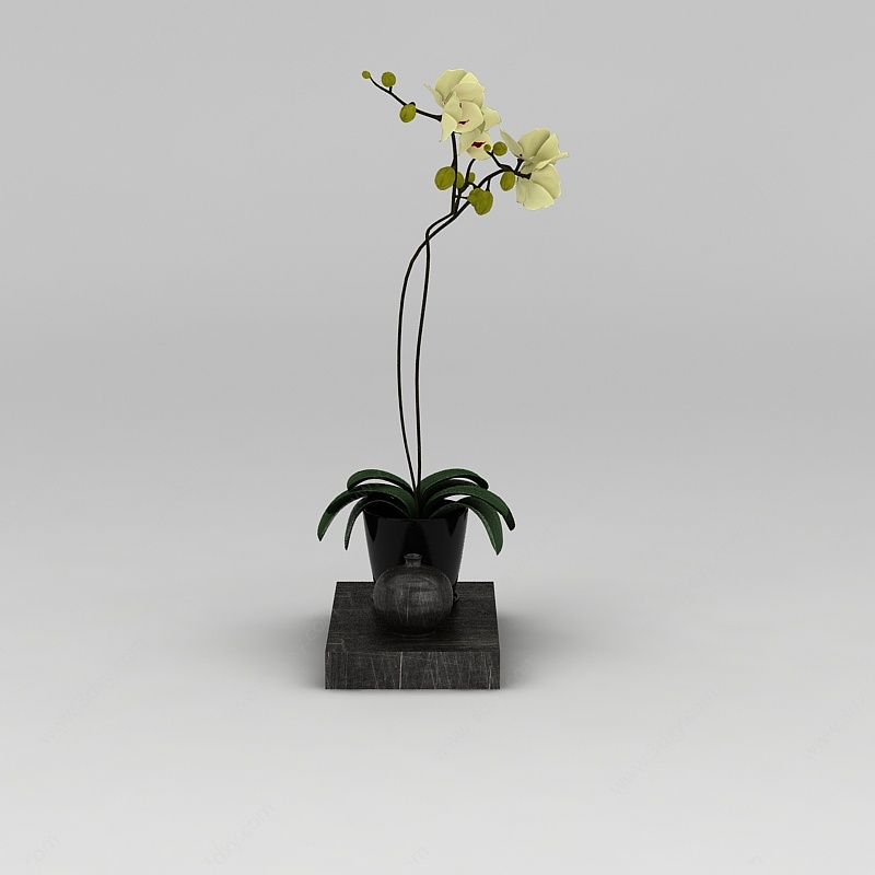 精美装饰花瓶摆件3D模型