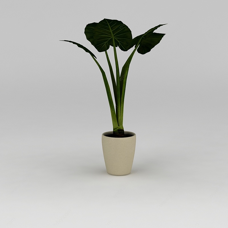 室内绿植盆栽3D模型
