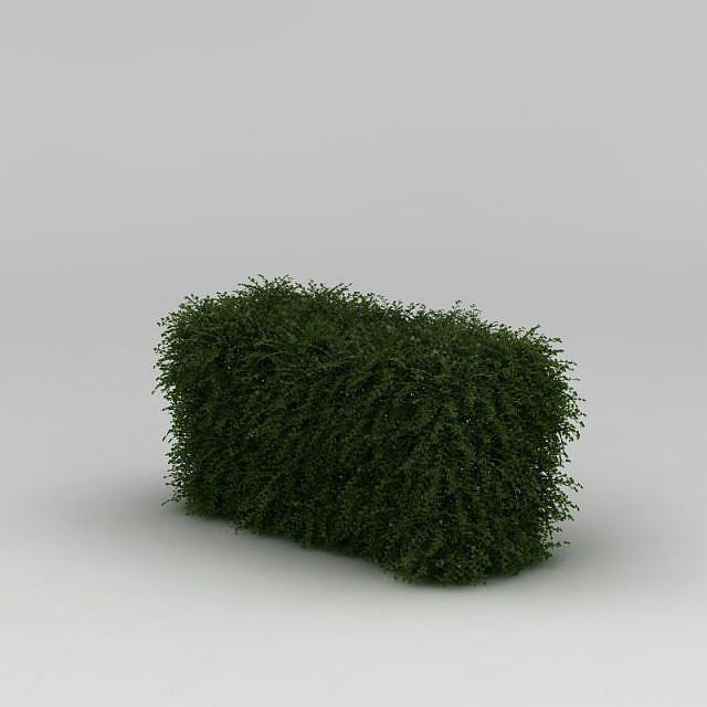 绿化带灌木3D模型