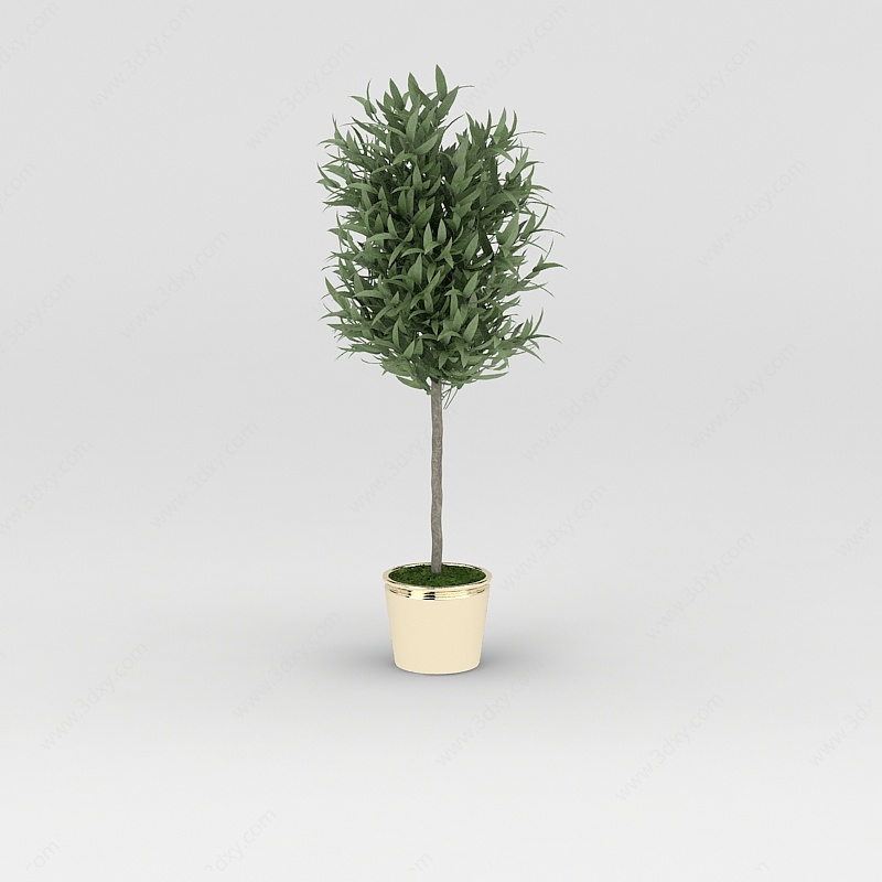 仿真花盆绿树3D模型