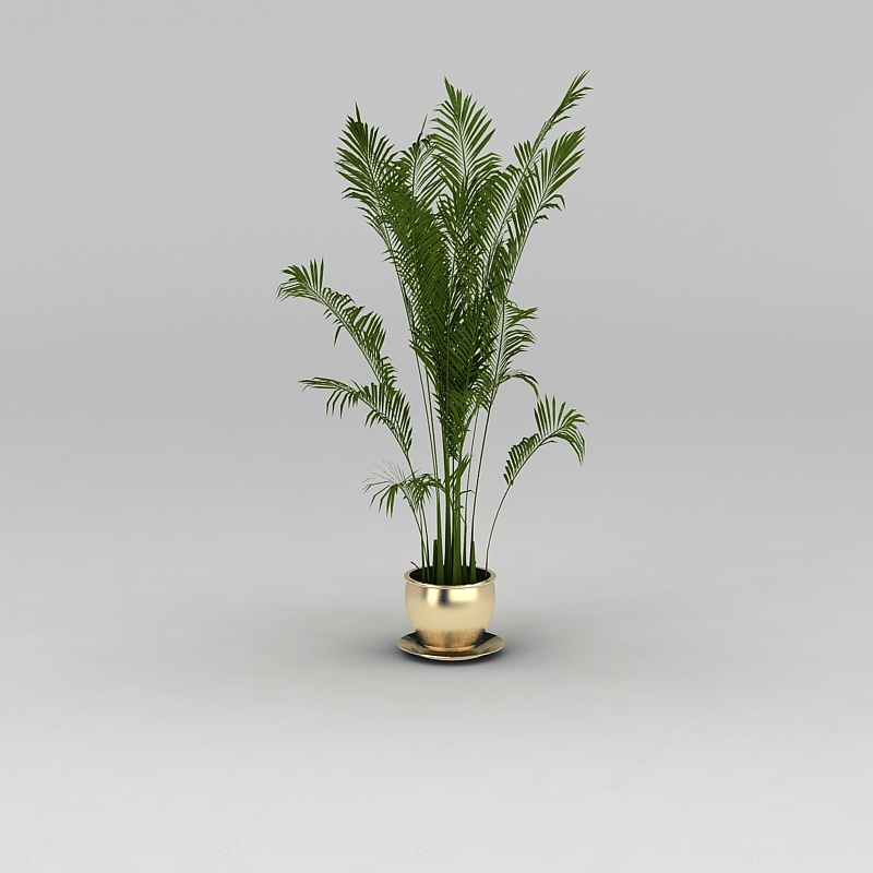 室内绿植散尾葵3D模型