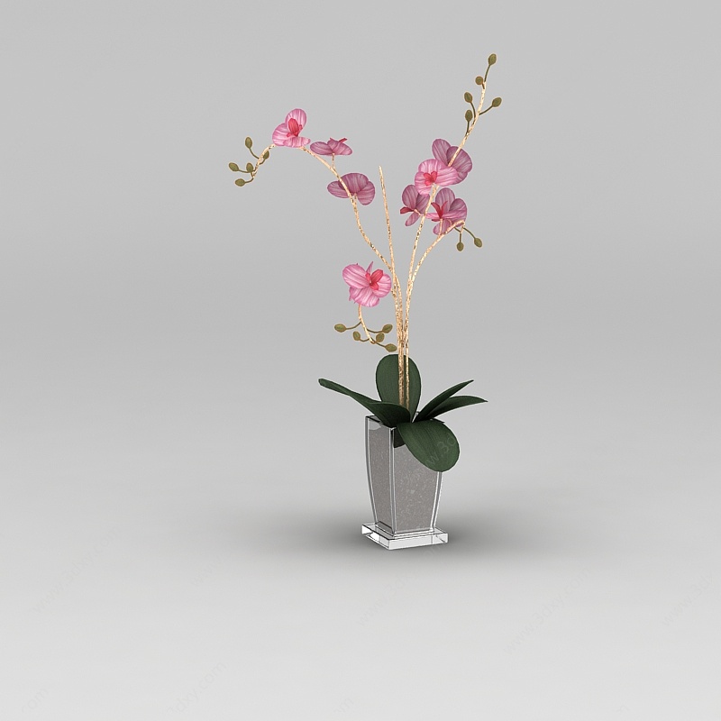 仿真兰花花瓶3D模型