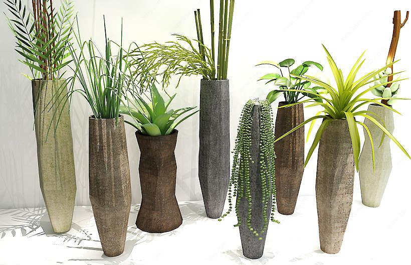 现代花瓶植物花艺组合3D模型