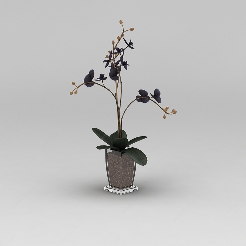 花艺花盆3D模型