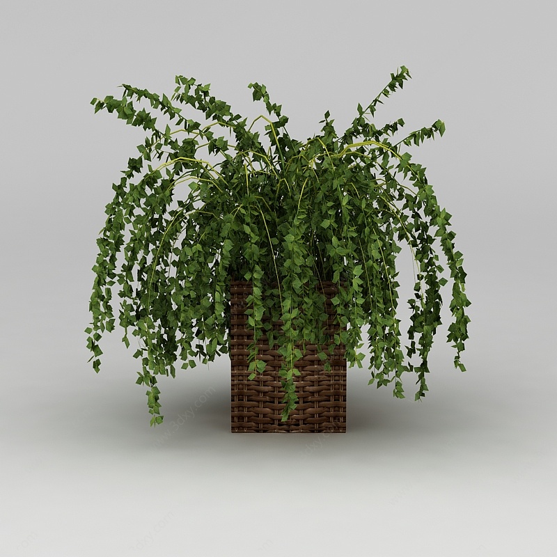 藤编花盆绿植3D模型