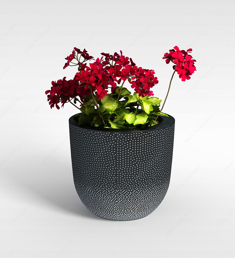 红色花卉盆栽3D模型