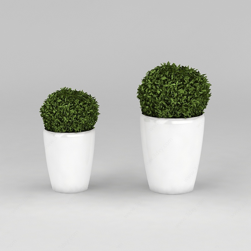 室内绿植盆景3D模型