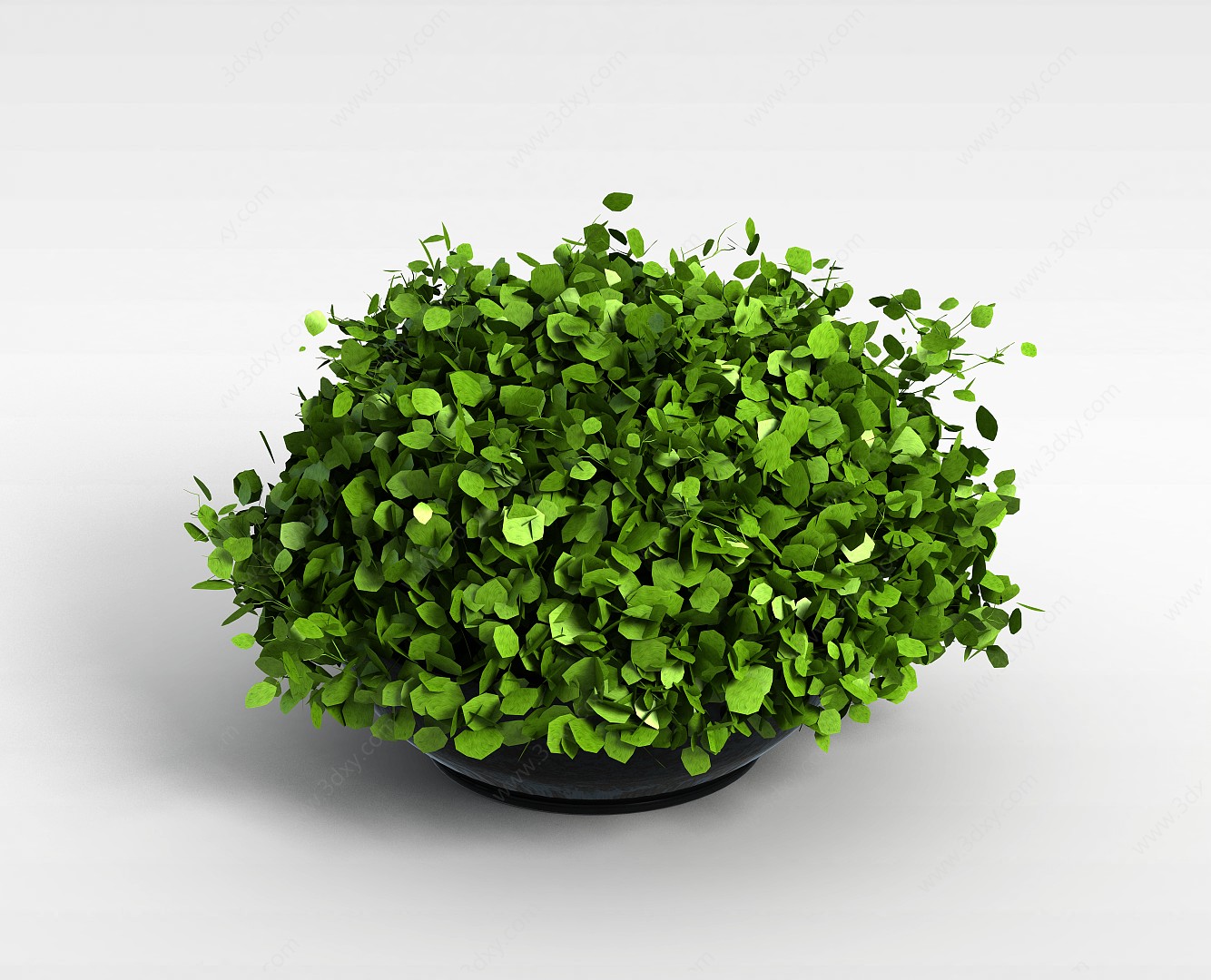 绿植花盆3D模型