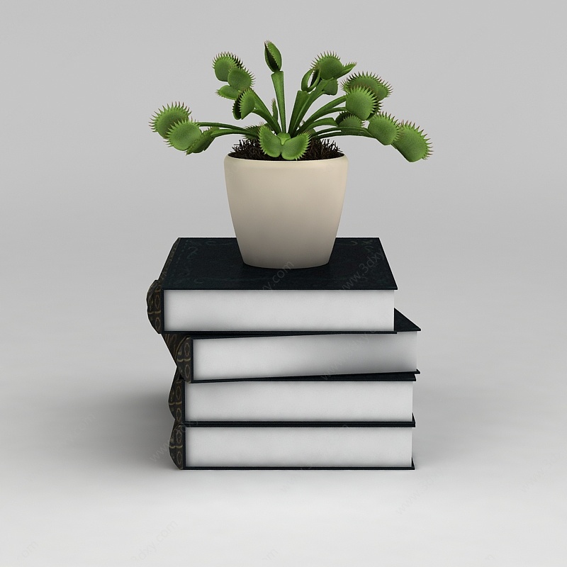 书和绿植盆栽3D模型