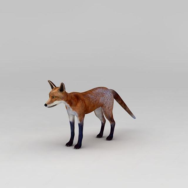 红狐3D模型