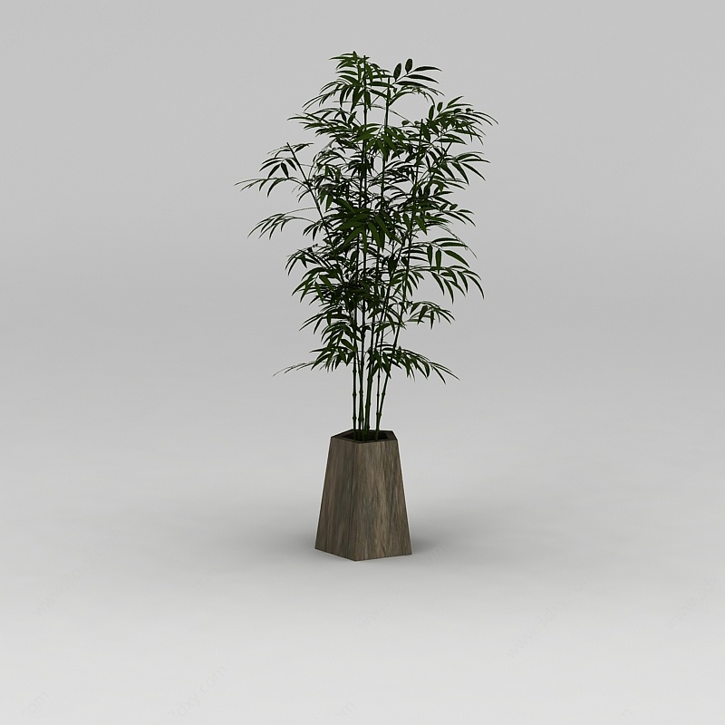 庭院竹子盆栽3D模型