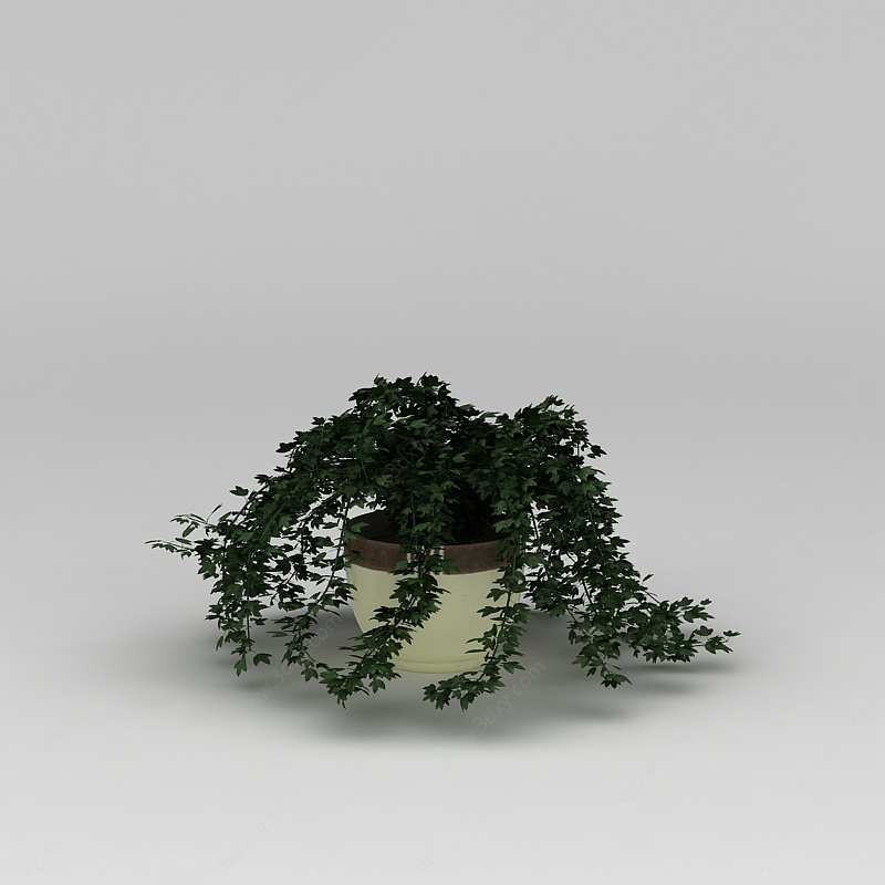 庭院花盆绿植3D模型