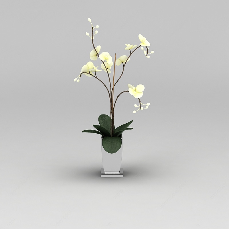 兰花装饰花卉3D模型