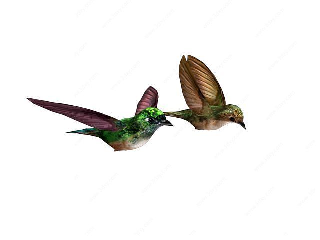 2只小鸟3D模型