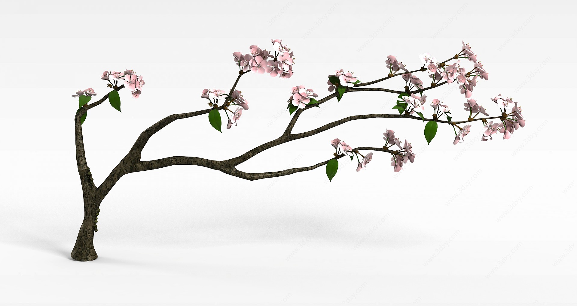 樱花树枝3D模型