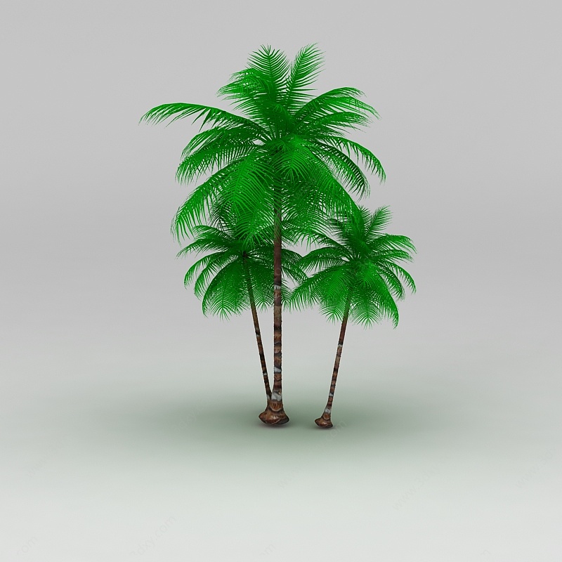椰子树3D模型