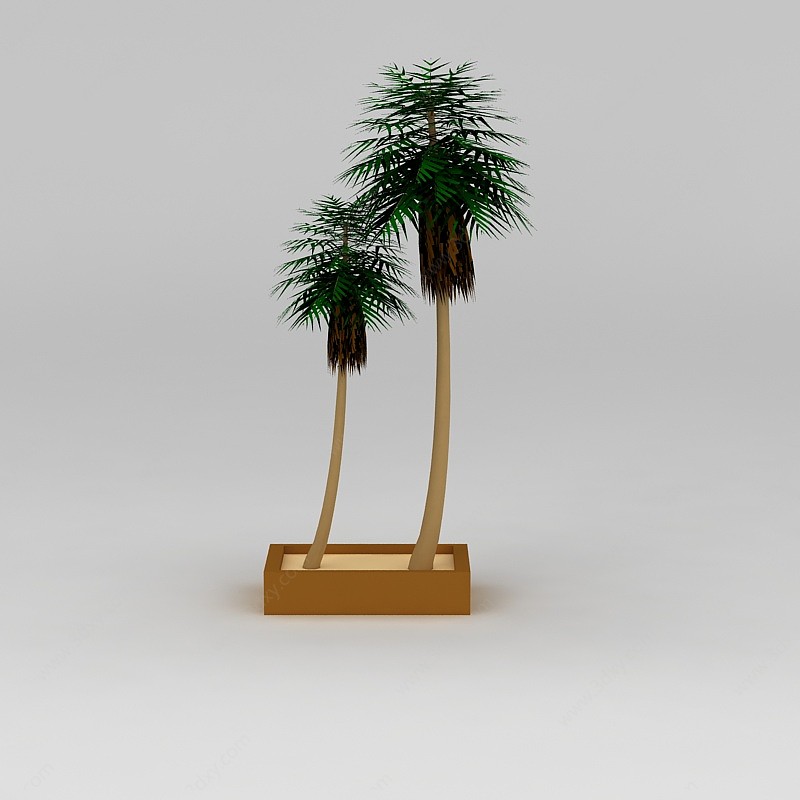 仿真椰子树装饰3D模型