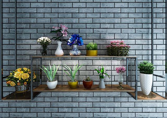 墙壁花架植物盆栽组合3D模型