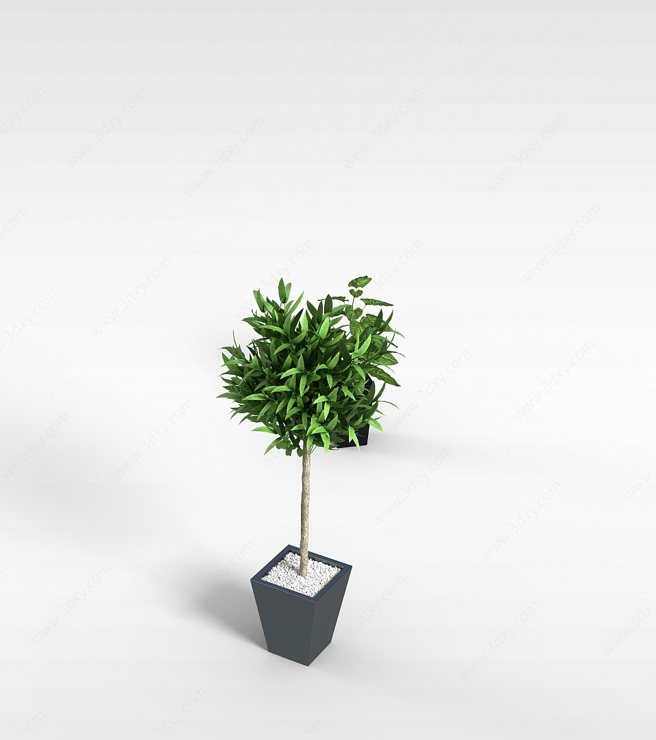 庭院绿植盆栽3D模型