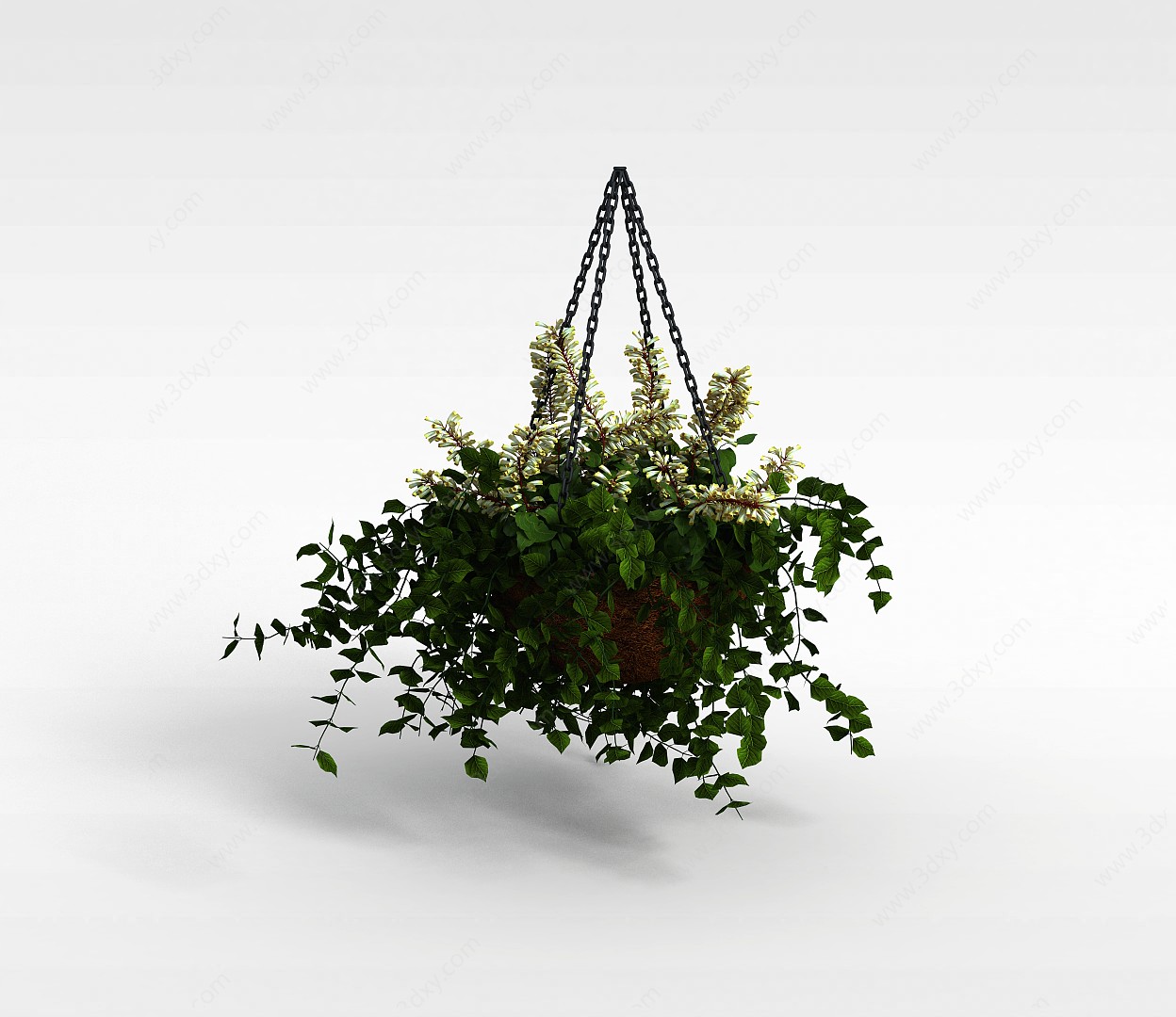 吊兰花盆3D模型