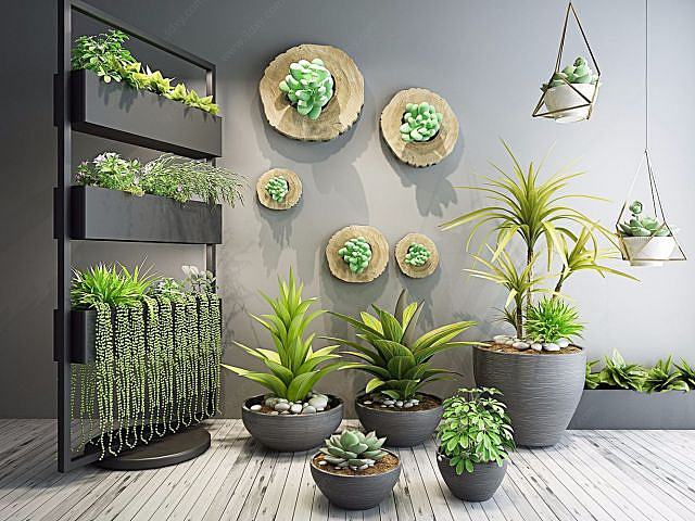 室内花架植物盆栽3D模型