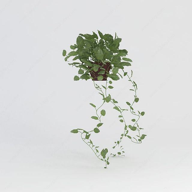 绿萝盆栽3D模型