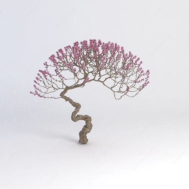 开花植物3D模型