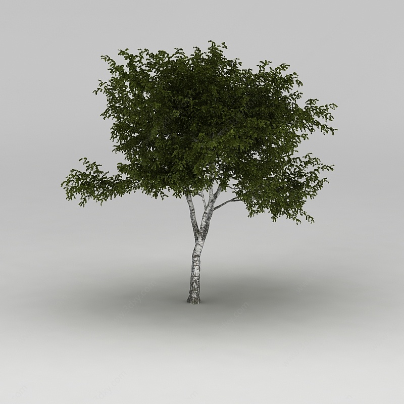 树3D模型