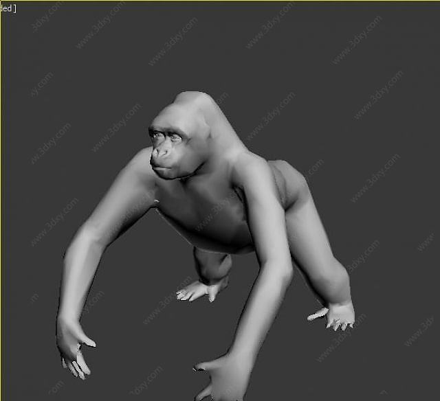 类人猿3D模型