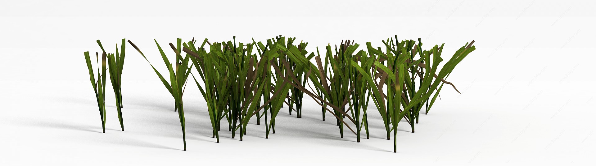 草坪绿草3D模型