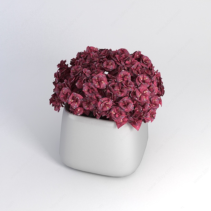 装饰花卉3D模型