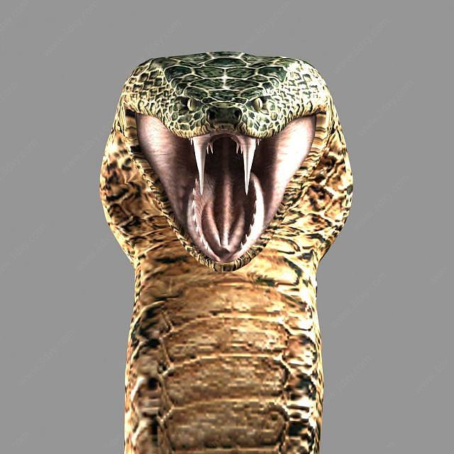 蟒蛇3D模型