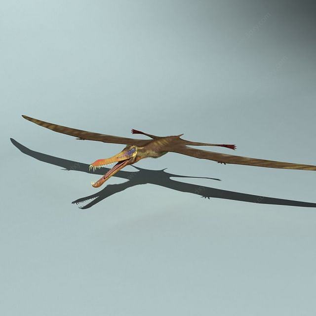 亞氏翼龙3D模型