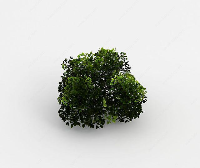 魔兽世界灌木丛场景装饰3D模型