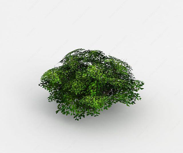 魔兽世界灌木丛场景装饰3D模型